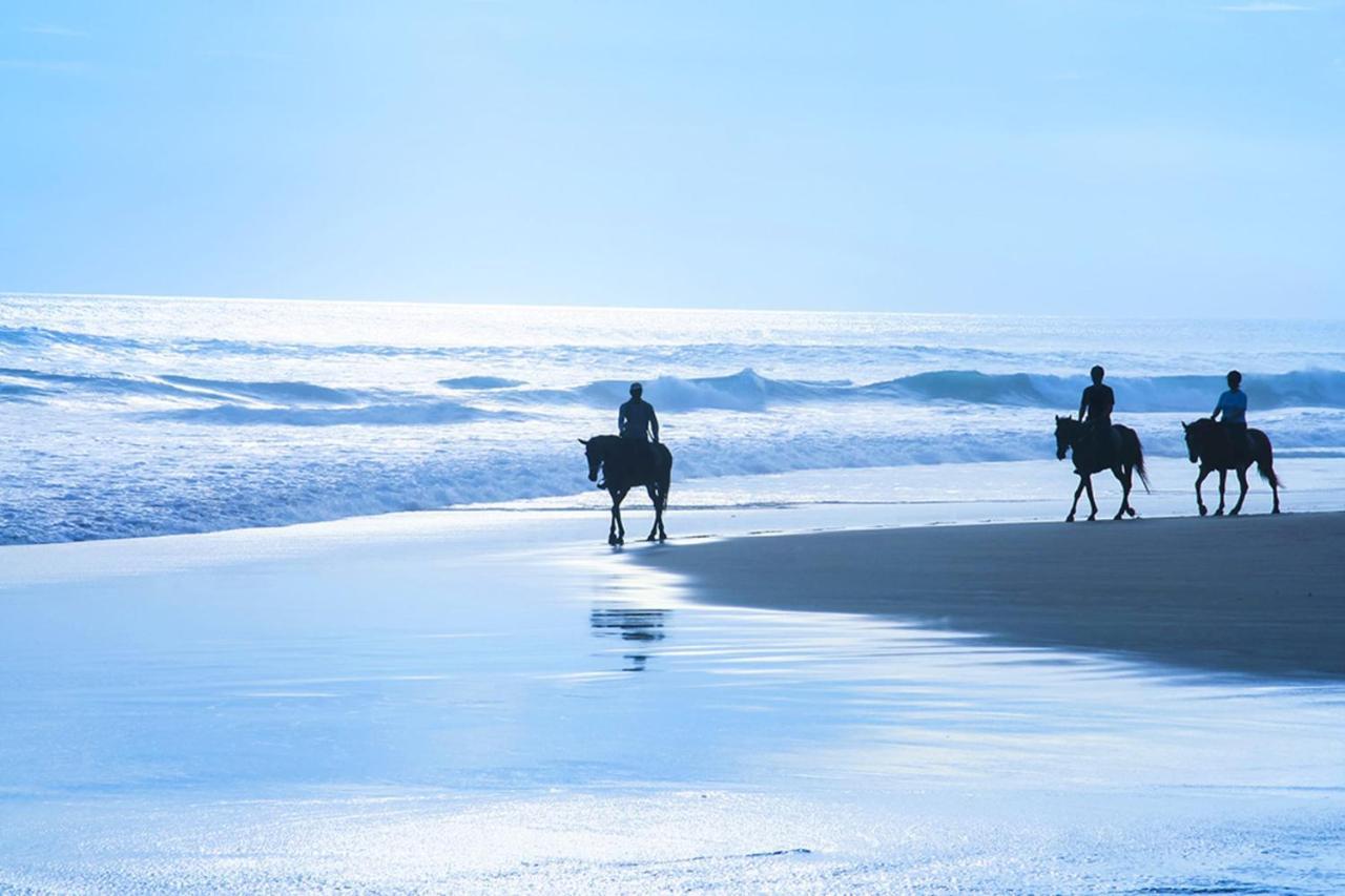 Stunning Oceanview Coastal Home Beach Trails Family Activities Montara Eksteriør billede